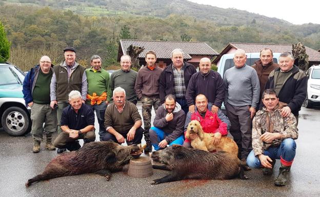 Abaten ocho decenas de jabalíes