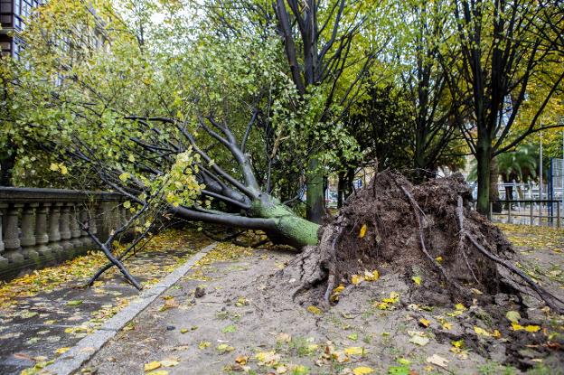 Temporal en Asturias | Un argayo sepulta la zona deportiva de Xivares