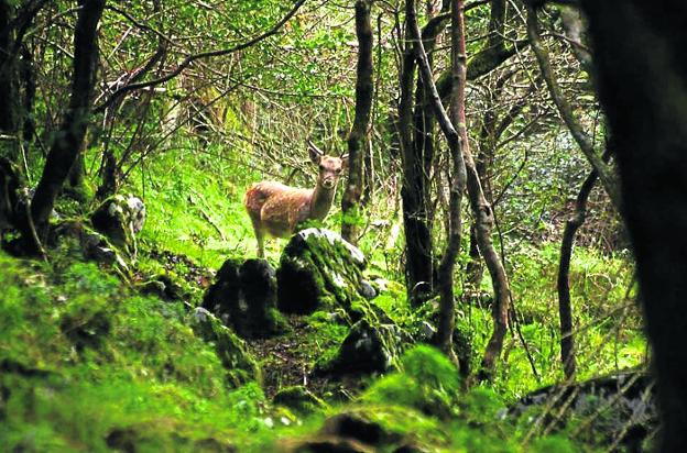 Paraísos para sentir el otoño