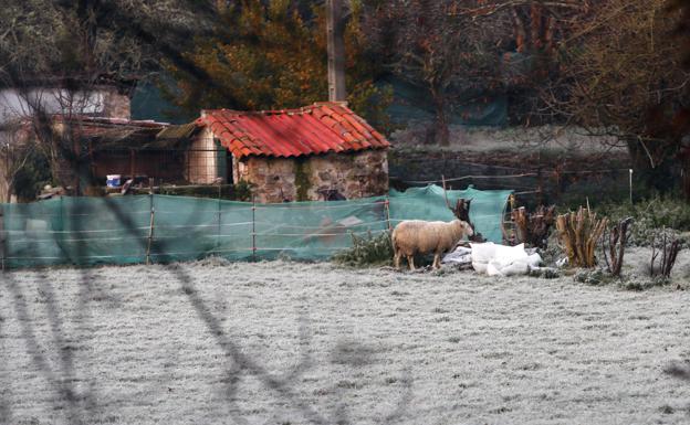 Caída en picado de las temperaturas en Asturias