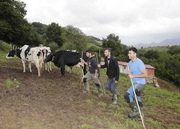 Casi trece millones para ayudar a jóvenes agricultores y afrontar el reto demográfico