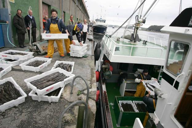 La rula registra en noviembre una caída de ingresos interanual del 11,5%