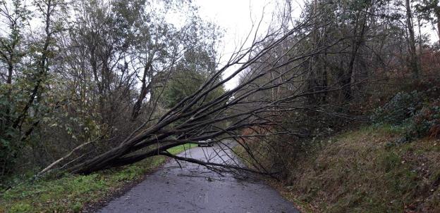 Nueva alerta naranja por un fuerte temporal de marejada y lluvia