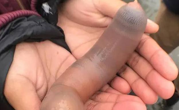 Miles de 'peces pene' invaden una playa en Estados Unidos