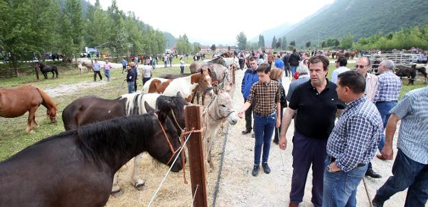 La feria ganadera de La Ascensión se celebrará en La Florida el próximo año
