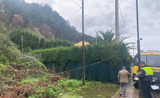 La caída de un árbol corta el servicio de tren en Raíces Viejo