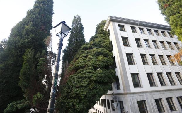 El temporal derriba un ciprés sobre la consejería de Educación