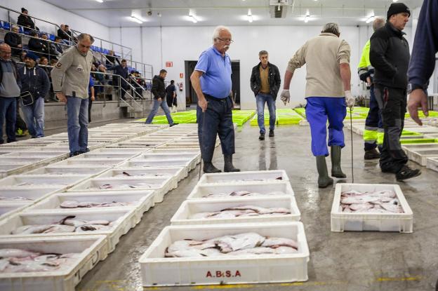La lonja de El Musel subasta 6.000 kilos de producto a pocos días de la Navidad