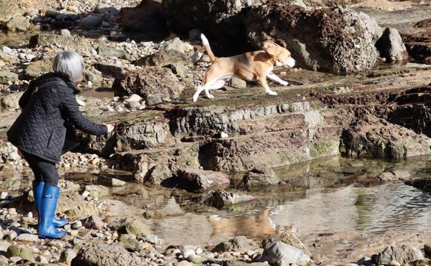 Asturias despide el año con frío y sol