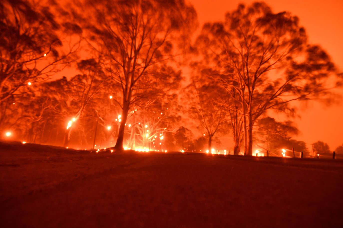 Devastadores incendios en Australia