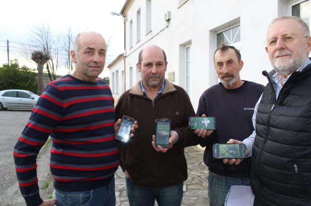 Los ganaderos de El Franco denuncian la pérdida de 70 reses en un año por el lobo