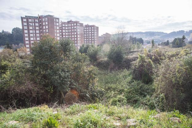 Medio Ambiente da luz verde a la construcción de cuatro edificios en El Pozón