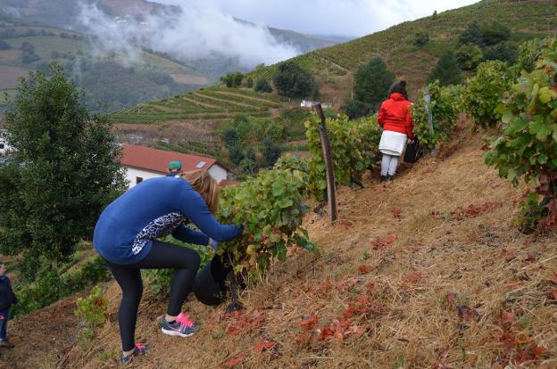 El CSIC inicia en el suroccidente su plan para atraer empresas y luchar contra la despoblación
