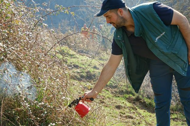 Los ganaderos podrán quemar matorral con supervisión para regenerar pastos