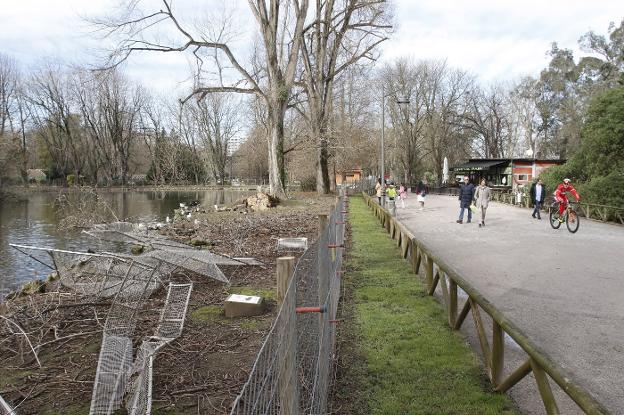Cuatro años para reformar Isabel la Católica