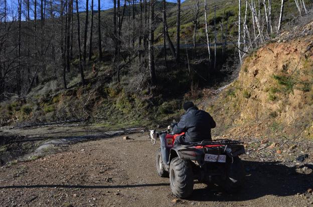 «Ni un perrón nos dieron. Solo se hicieron fotos»