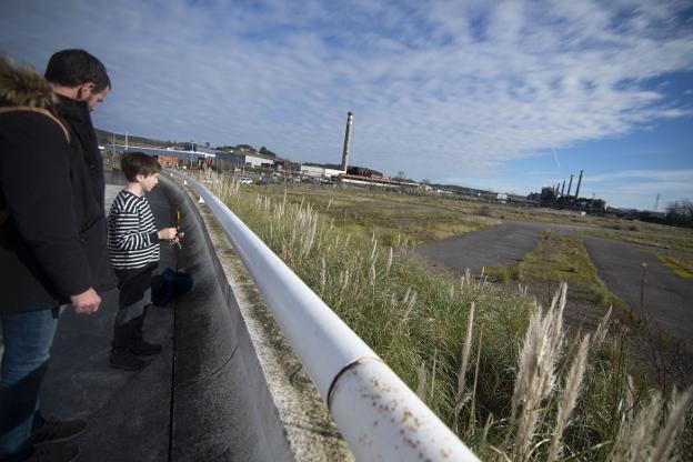 Sepides dará prioridad a la industria para ocupar el suelo de las baterías de cok