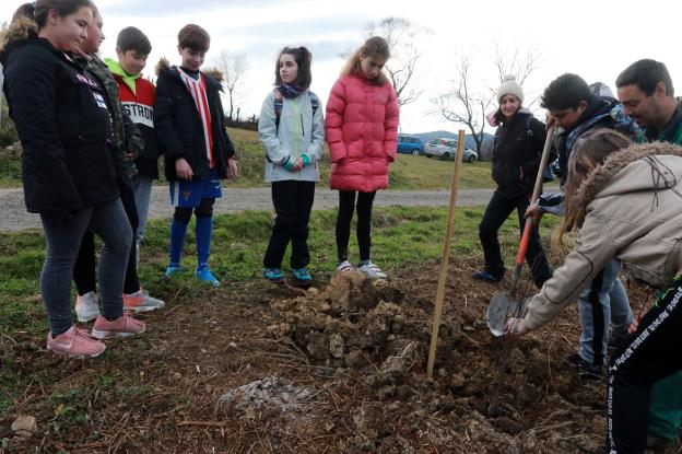 Sesenta escolares participan en la repoblación de árboles en La Teyerona