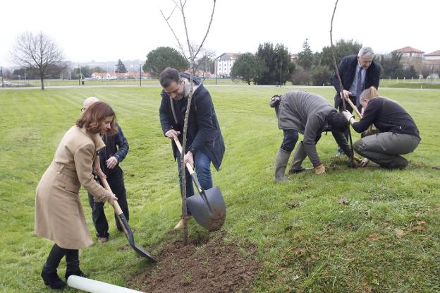 Más de 2.000 árboles para una Escuela de Ingeniería «habitable y sostenible»