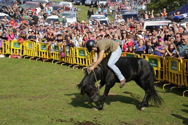 El Asturcón protagonizará el paso de Piloña por Fitur 2020