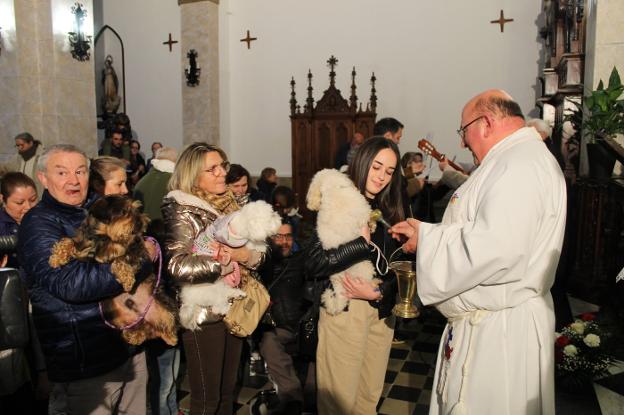 Tapia bendice a sus mascotas