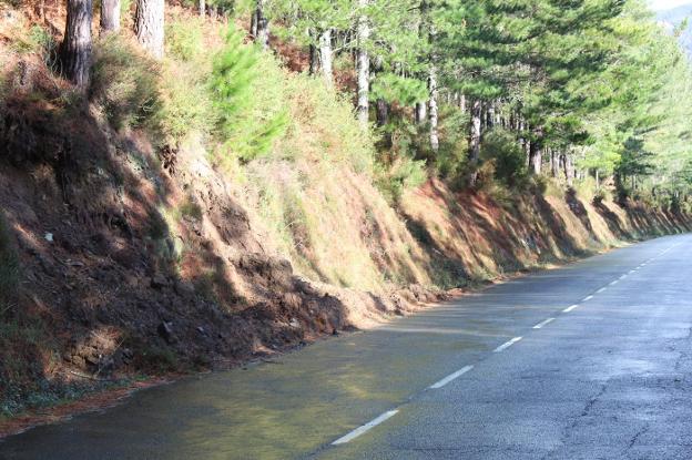 «Parar la mejora de la AS-12 es obligar a la gente a abandonar los pueblos»