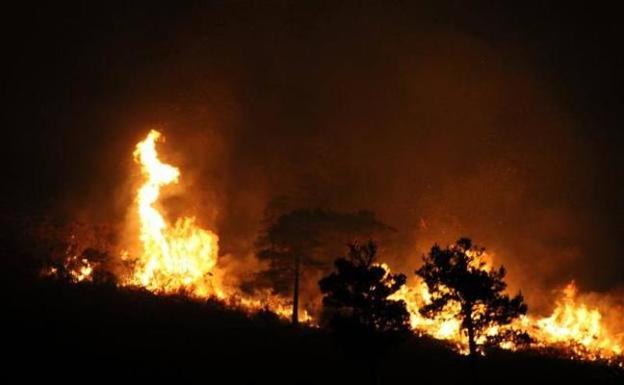 Investigan a una mujer por provocar varios incendios en Cangas del Narcea