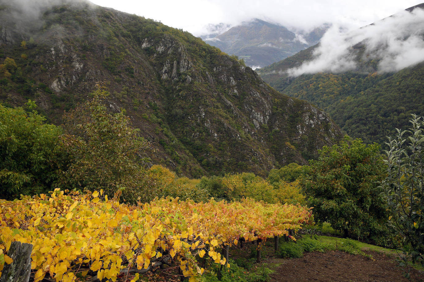 Parajes naturales que hay que reservar, pero que merecen la pena visitar