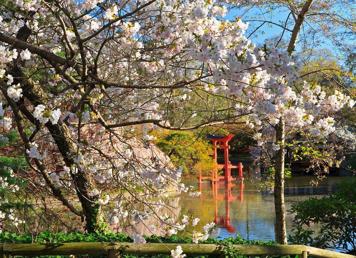 Los jardines más bonitos del mundo