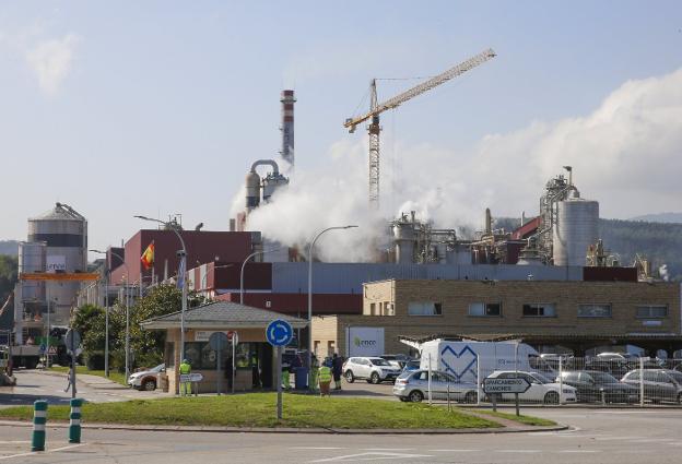 El debate de la biomasa: ¿energía sostenible o problema medioambiental?