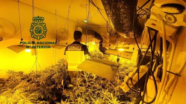 Desmantelan el primer laboratorio de resina de cannabis de Asturias en Grado