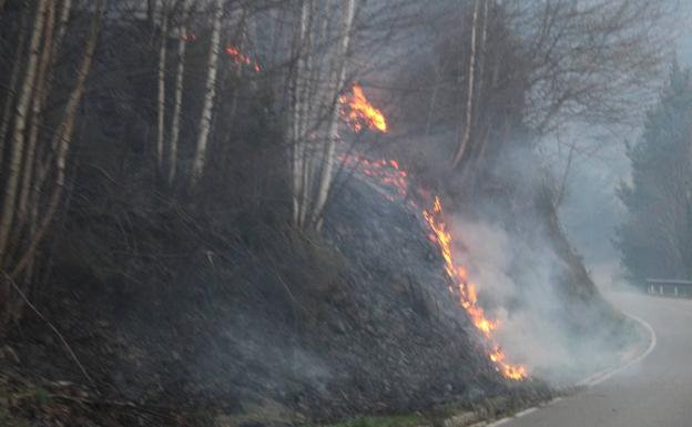 El viento complica la extinción de cuatro incendios en el Occidente