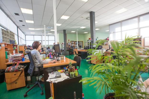 El Ayuntamiento de Avilés potencia la formación dual a la carta para las empresas locales