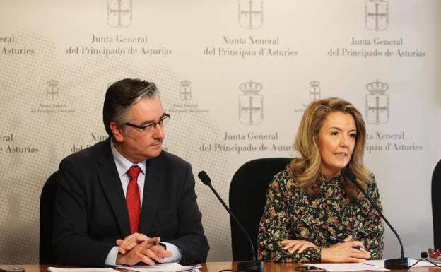 El PP pide 455 millones más al año para Asturias en la nueva financiación