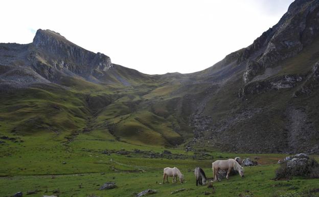 Tesoros de la naturaleza asturiana