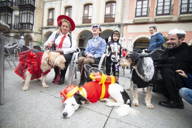 Mascotas y automóviles lucen sus mejores disfraces