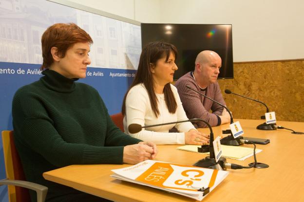 Ciudadanos reclama un estatuto electrointensivo «que valga»