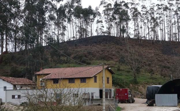 Extinguidos todos los incendios registrados durante el fin de semana en Asturias