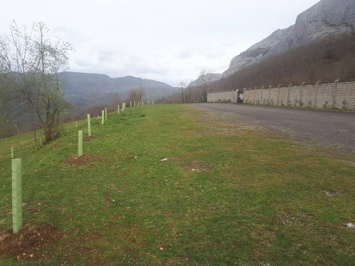 Una ruta por la Sierra de Sobia