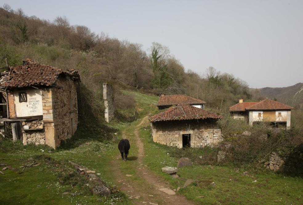 El bosque reconquista San Adriano del Monte