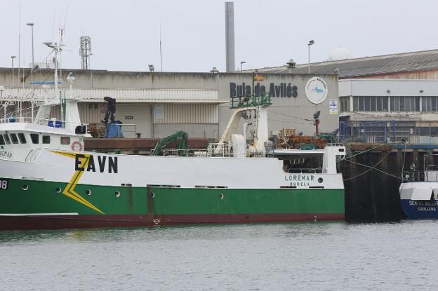 Los temporales dejan las peores cifras de pesca de los últimos años en la lonja avilesina