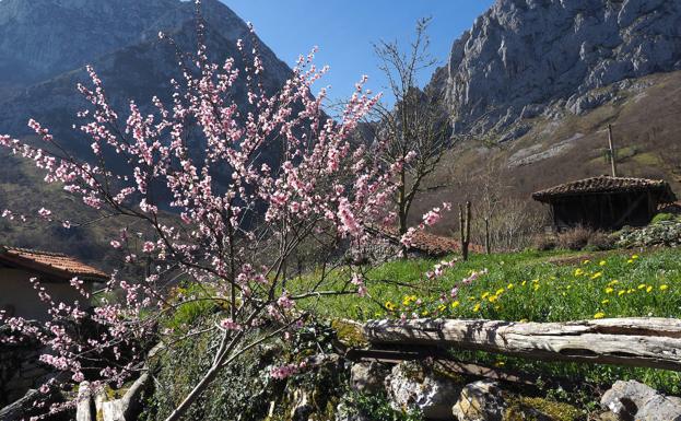 Asturias vivirá una primavera más cálida y con menos lluvias de lo habitual