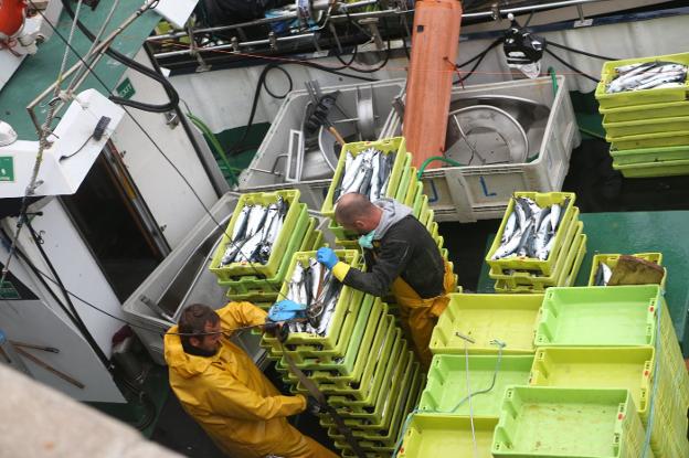 El puerto de Lastres podrá desembarcar más de diez toneladas