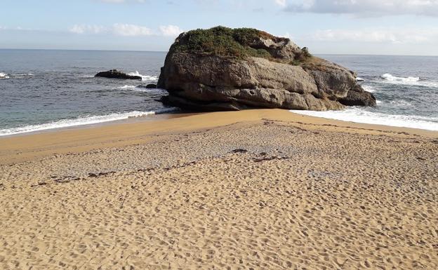 Capítulo 14. Estaño