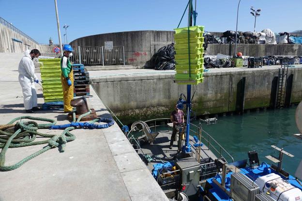 Coronavirus en Asturias | Xarda gratis en los puertos pesqueros del Oriente
