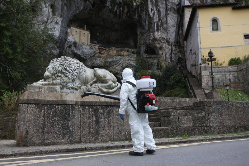 La lucha contra el virus llega hasta la Santina