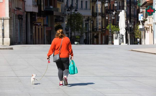 Avilés prohíbe pasear el perro a más de doscientos metros de casa