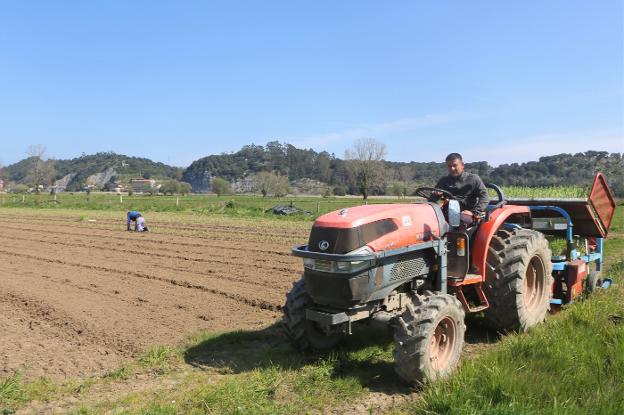 Asturias destina 84,1 millones a ayudas de la PAC para 10.000 profesionales del campo