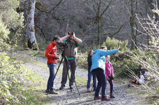 El sector del turismo rural de Fuentes del Narcea «afronta ahora una situación crítica»