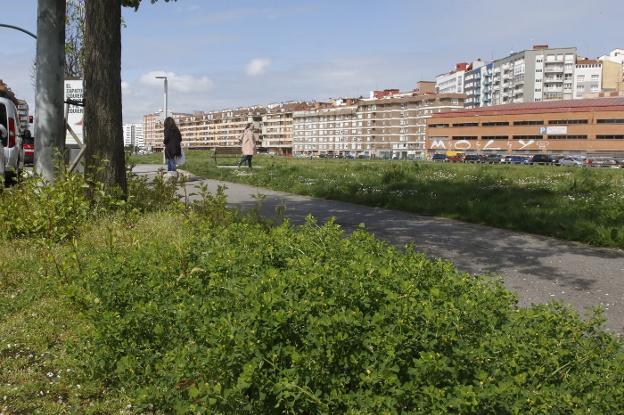 Emulsa retoma el cuidado de las zonas verdes tras dos semanas de paro obligado
